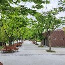 독서근린공원 이미지