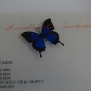 새마을로83번길 이미지