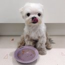 페이보리잇 이미지