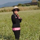 고창농장 이미지