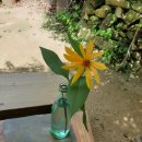 예솔누리 이미지