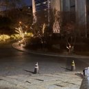 포레스트G1