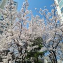 무실주공베스파공인중개사사무소 | 원주 무실주공3단지 둘러보기