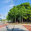 합정초 삼거리 이미지