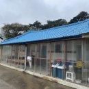 원원민박 이미지