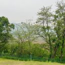 초정힐링캠핑장 이미지