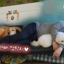 새롬농장 이미지