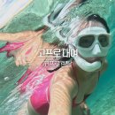인천공항 고프로 대여 고프로13 렌탈 택배 추천 후기