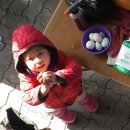 보수농장 이미지