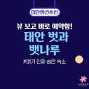 벗과뱃나루 | 태안 펜션 추천, 직접 다녀온 ‘ 태안 벗과 뱃나루’ 솔직후기 (가성비+뷰 둘 다 잡은 숙소)
