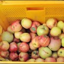 한양섬유 이미지