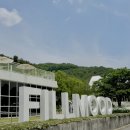 가야(주) | 파주 감성카페 필무드! 데이지꽃 만발한 뷰맛집,필무드 다녀온 후기! 딱지금! 이번주 구경가야합니다!!!