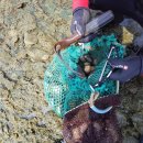 오마이 수산 이미지