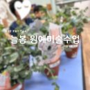 늘봄원예 이미지