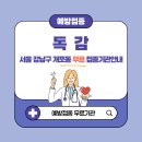 서울 강남구 개포동 독감 무료접종 대상 65세, 임산부, 어린이 예방접종 병원 확인 방법