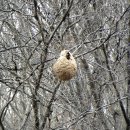 황금폭포하늘길 이미지