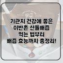 해동농원 | 이반촌농원 돌배즙 후기 & 먹는 법,기관지에 좋은 산돌배즙