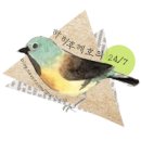 미스비(MISS B) 이미지