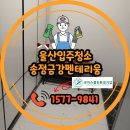 금강크리닝 | 울산 입주청소 가격 업체 이벤트 송정 금강펜테리움 후기