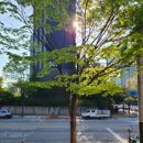 파주우체국 이미지