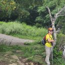 2026년 07월 11일 - Hawksbill Summit 헉스봉 (Rock Spring Hut ) 이미지