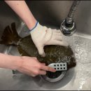 속성 일식 자격증 이미지