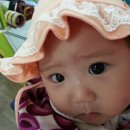 홈플러스디어베이비 네이버블로그