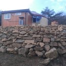 숲속 게르 하우스 이미지