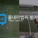 붕어나라낚시터 이미지