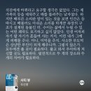 시티 뷰 소설, 혼불문학상, 우신영, 인간의 본능