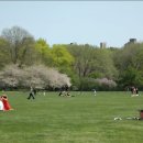 Aprile, Luciano Pavarotti, Central Park in New York ~♬ 이미지