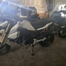 판매완료 msx125 ㅅㄹx 윌리꾸밀차 이미지