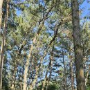 남산근린공원아이나라 이미지