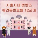 서울쎈트럴호텔(SEOUL CENTRAL HOTEL) | 서울 애견동반 펫캉스 호텔 12곳