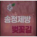 송정제방길 이미지