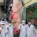 태호목장 이미지