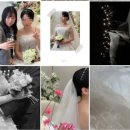 W#2 스냅: 부산(창원) 아이폰스냅 <이프모어스냅> 계약 후기