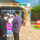 아산 곤충 생태원 반딧불이 특별전 행사 후기 기본정보