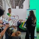 미뇽펫푸드 이미지