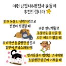 서문동물약국 이미지