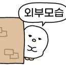 광주축산물도매센타