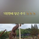 기린농원