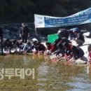 D00370 네이버블로그