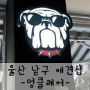 멍클레어 | [울산애견샵]멍클레어에서 깍지를 분양받다!