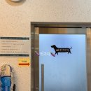 라온하우스 | 순천 라온하우스애견펜션 숙박대전으로 내돈내산 순천애견동반펜션