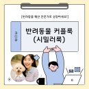 [국비_내일배움카드] 12/4 애견(반려견)패션 실무자 과정 | 인천 국비지원 미싱 &#34;여성복 &amp; 애견의류 커플룩 제작과정 오픈!&#34;
