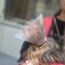 서울종합동물병원방배 | 슬개골탈구 + 십자인대 파열 동시수술 mTPLO 윤장원외과동물병원 내돈내산 찐 수술후기 소형견 TPLO