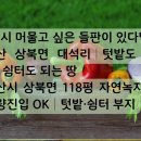 땅과사람공인중개사사무소 이미지