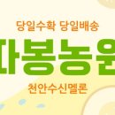 따봉농장 이미지