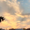 자연은 동물병원 이미지